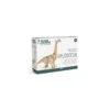 Graine Créative - Maquette Mécanique - Diplodocus - 48 Pièces 2 Graine Créative - Maquette Mécanique - Diplodocus - 48 Pièces -Jouets Pour Enfants graine creative maquette mecanique diplodocus 48 pieces