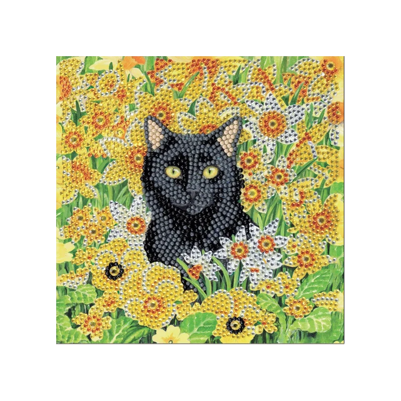 OZ - Loisirs Créatifs - Crystal Art - Kit Carte Broderie Diamant 18x18cm - Chat Dans Le Pré 3 OZ - Loisirs Créatifs - Crystal Art - Kit Carte Broderie Diamant 18x18cm - Chat Dans Le Pré