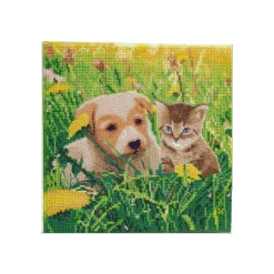 OZ - Loisirs Créatifs - Crystal Art - Kit Tableau Broderie Diamant 30x30cm - Chat & Chien Pré
