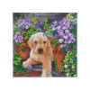 OZ - Loisirs Créatifs - Crystal Art - Kit Tableau Broderie Diamant 30x30cm - Chien & Fleurs 1 OZ - Loisirs Créatifs - Crystal Art - Kit Tableau Broderie Diamant 30x30cm - Chien & Fleurs -Jouets Pour Enfants oz loisirs creatifs crystal art kit tableau broderie diamant 30x30cm chien fleurs