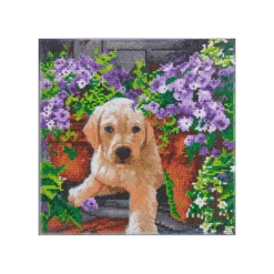 OZ - Loisirs Créatifs - Crystal Art - Kit Tableau Broderie Diamant 30x30cm - Chien & Fleurs