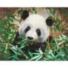 OZ - Loisirs Créatifs - Crystal Art - Kit Tableau Broderie Diamant 40x50cm Panda -Jouets Pour Enfants oz loisirs creatifs crystal art kit tableau broderie diamant 40x50cm panda