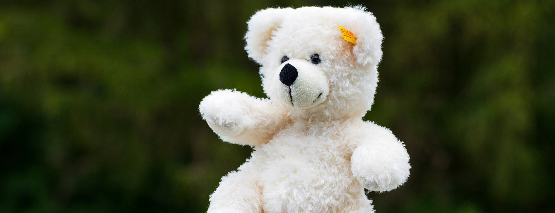 Jouets Pour Enfants 3 Jouets Pour Enfants -Jouets Pour Enfants teddy bear 5438496 1920 1